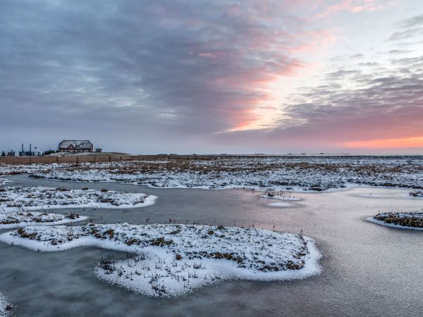 Winterlandschaft mit einer Warft. Die Fennen sind leicht mit Schnee bedeckt.