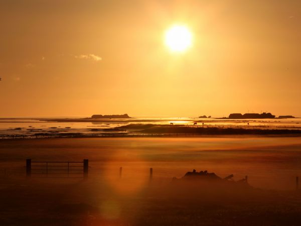 Sonnenuntergangsstimmung, Warften der Hallig Langeneß