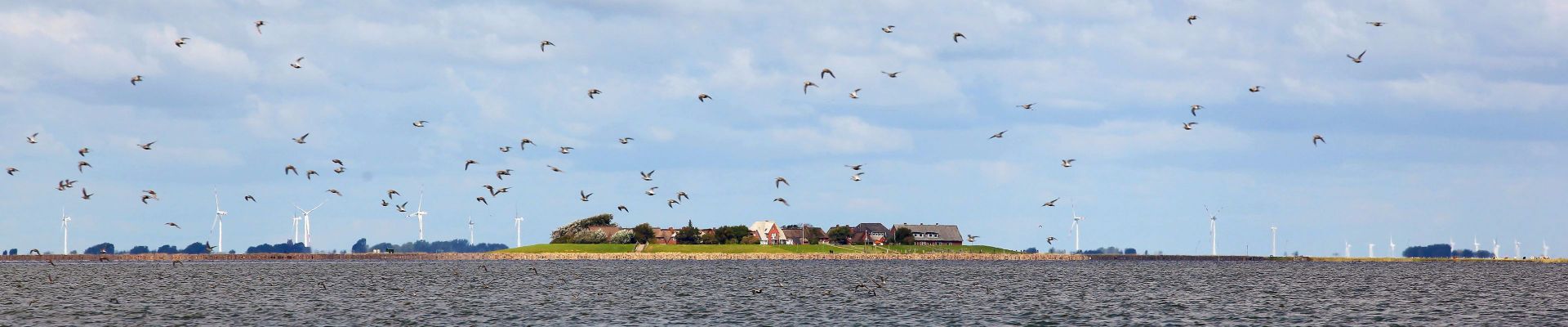 Hallig Oland, im Hintergrund die Küstenlinie mit Windrädern